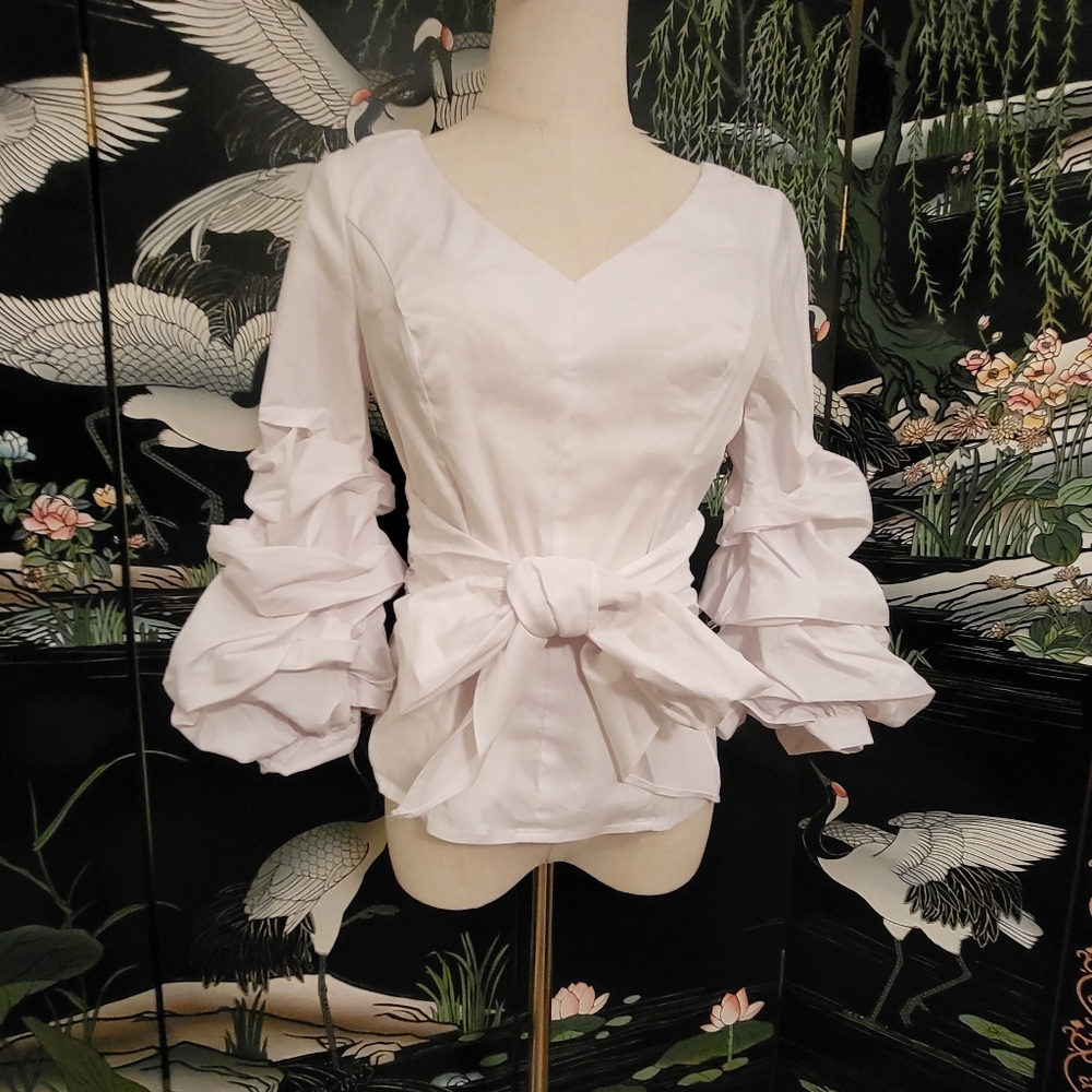 White House Black Market Cropped Ruffled Sleeve Tie Front Blouse